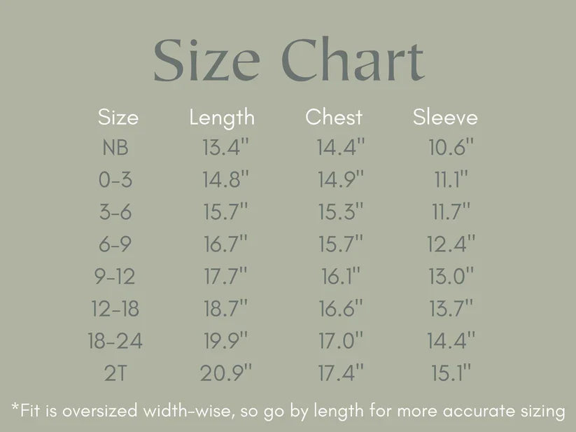 Silly Goose Bamboo Baby Romper - teal or blue