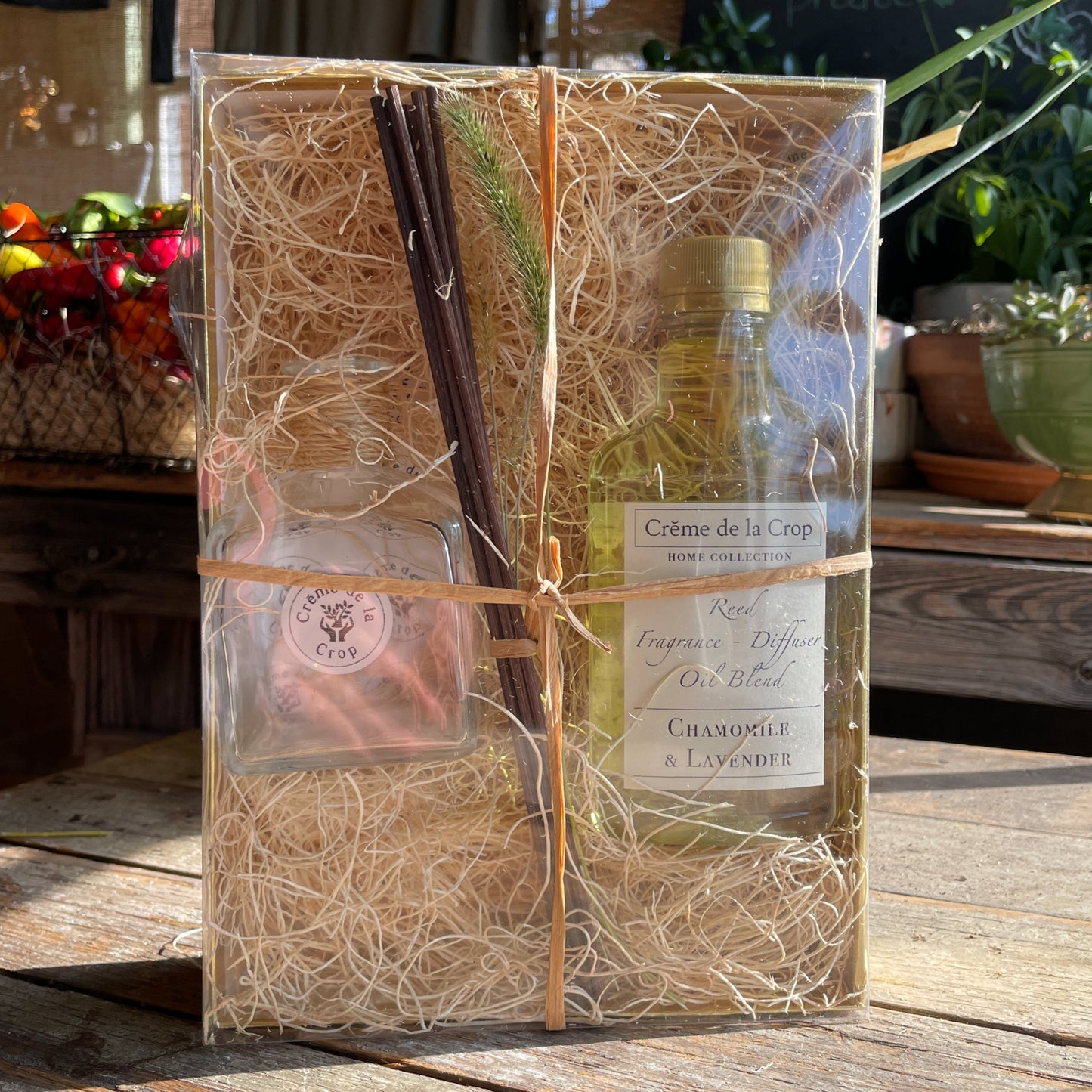 Reed Fragrance - Diffuser, Starter Kit - Bergamot & Lemongrass