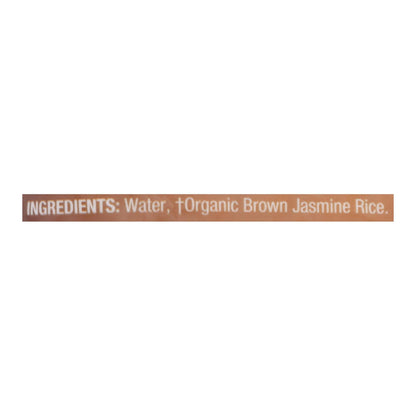 Lundberg Organic Brown Jasmine Rice - 6 Pack, 8 Oz Each