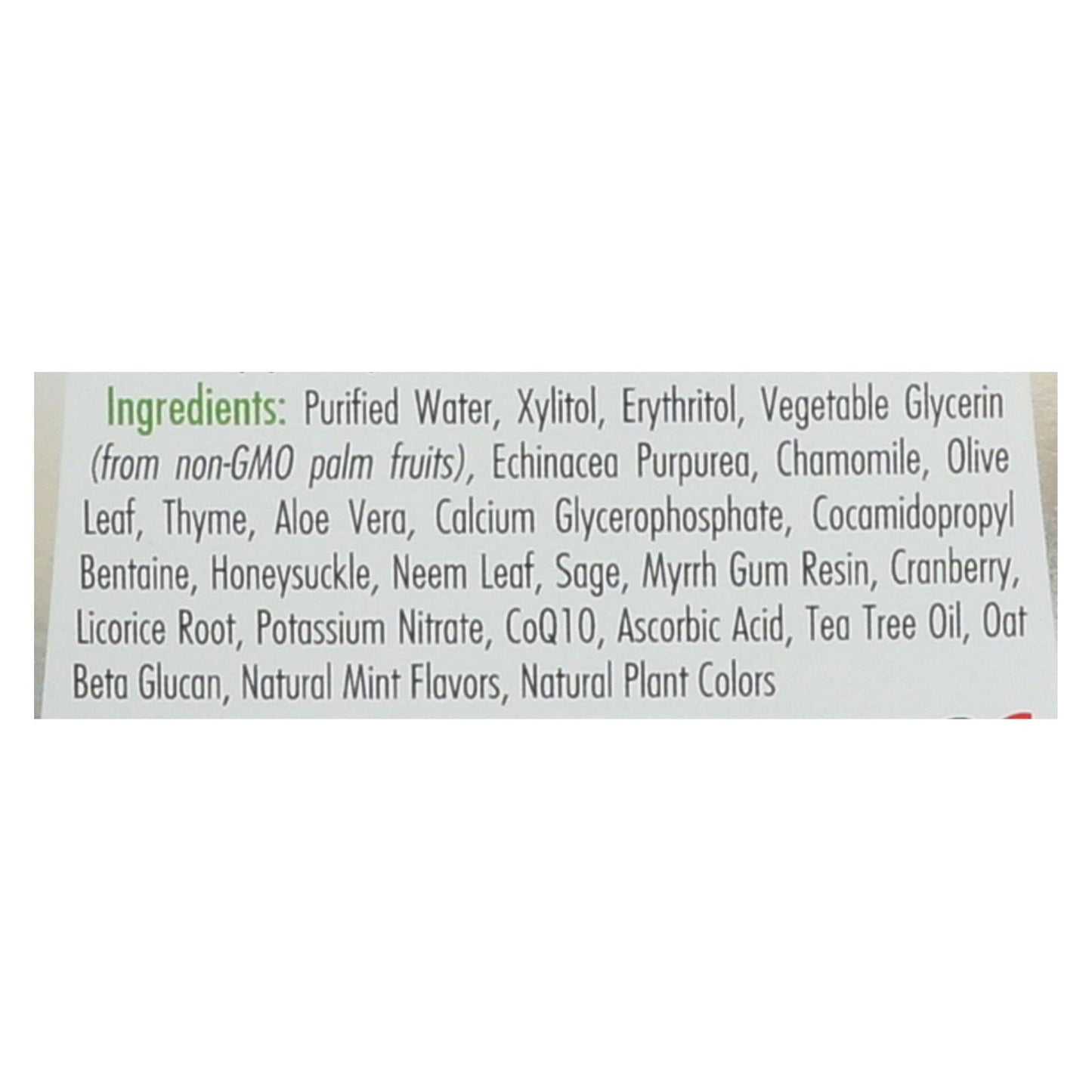 Spry Mouth Wash - Herbal Mint - Af - 16 Fl Oz