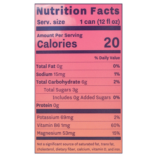 Recess - Sprk Wtr Rspbry Lem Magns - CS of 12-12 FZ