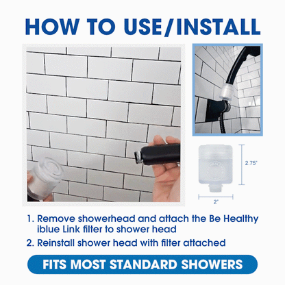 Be Healthy iBlue Link Portable Pure Water Filter System