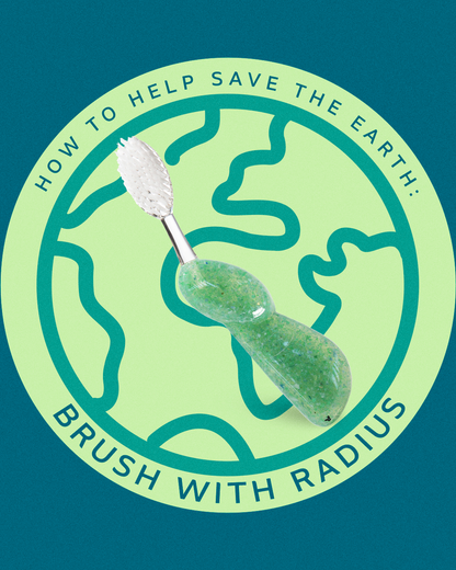 Big Brush with Replaceable Head Toothbrush