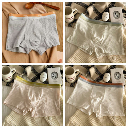 Boys, Pure Cotton Antibacterial Four Corner Shorts, Pure Cotton Crotch For Breathability