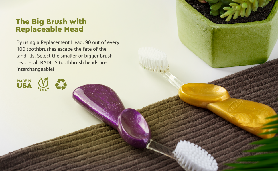 Big Brush with Replaceable Head Toothbrush