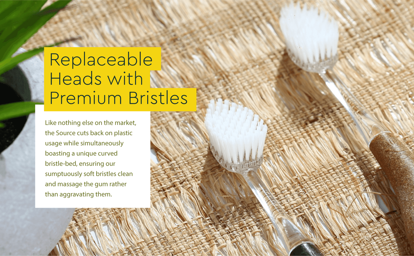 Source & Tour Replacement Toothbrush Heads