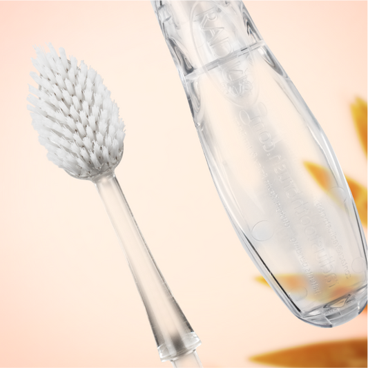 Replacement Heads (2-Pack) – Smart Toothbrush Replacement Heads for SOURCE™ & TOUR™ Toothbrushes