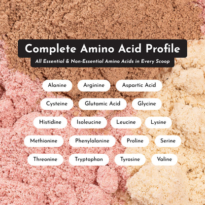 Roasted Peanut Butter Chocolate Protein Powder