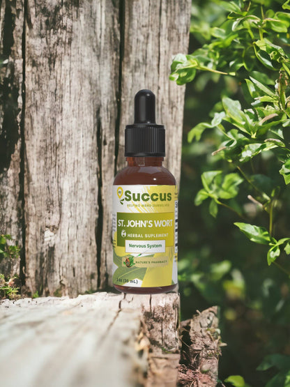 St. John's Wort Tincture | Nervous System (High Potency) | Alcohol-Free | 1 fl oz
