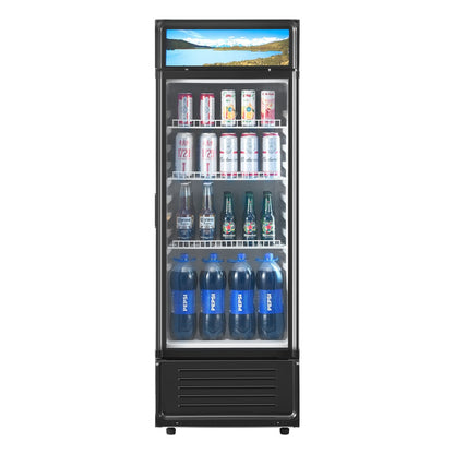 Commercial Merchandiser Refrigerator 6.9 CU.FT Glass Door Beverage Refrigerator