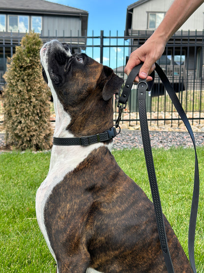 Celtic Sport Midnight Black Leather Dog Leash