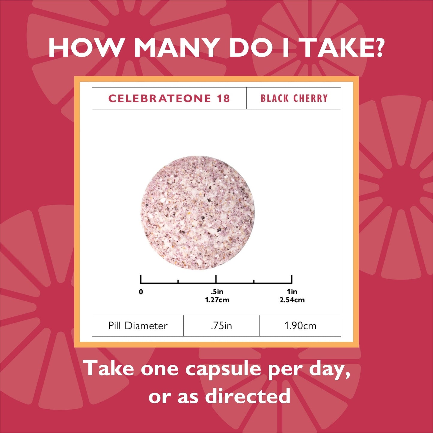 CelebrateONE 18 Once Daily Bariatric Chewable Multivitamin with Iron, Black Cherry