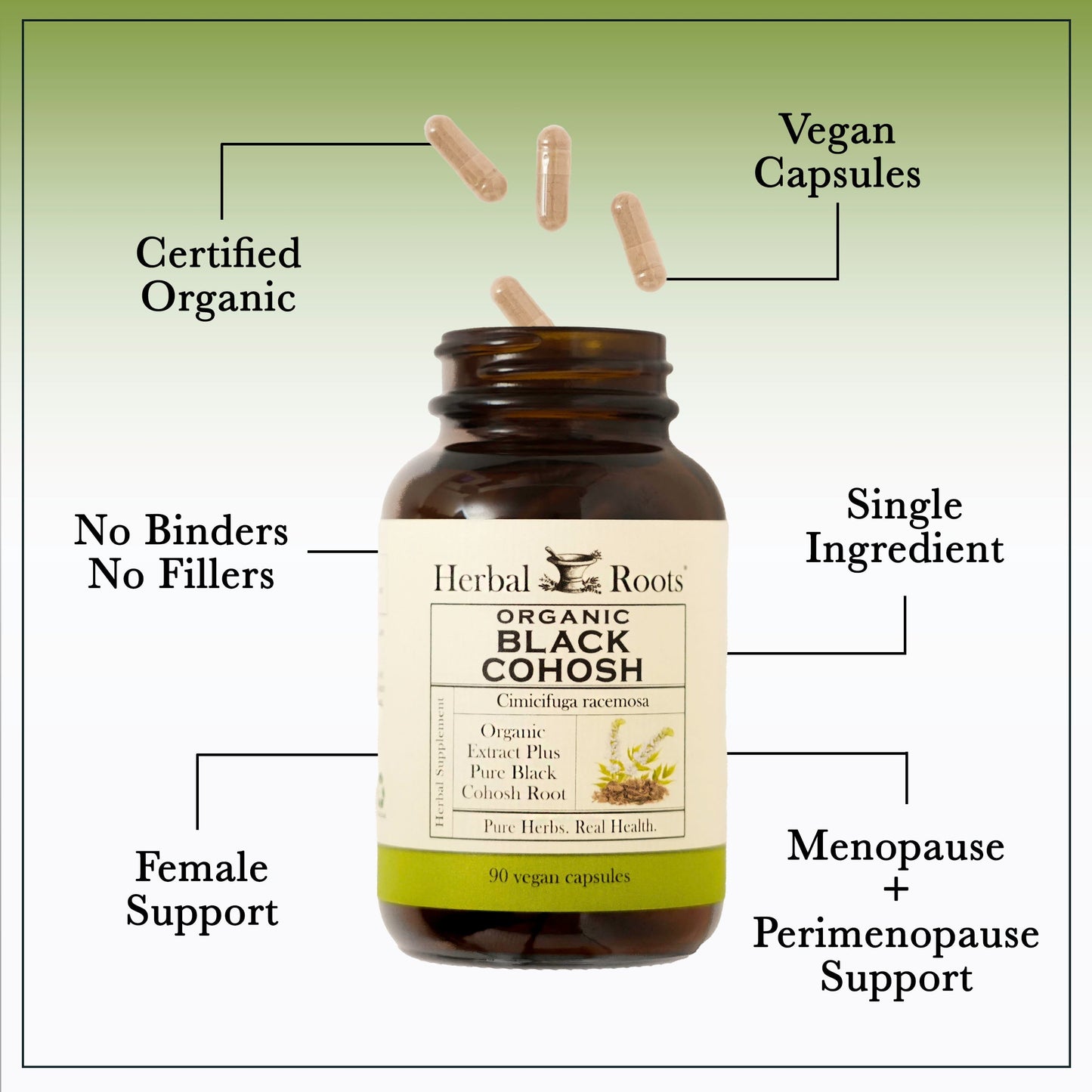 Organic Black Cohosh