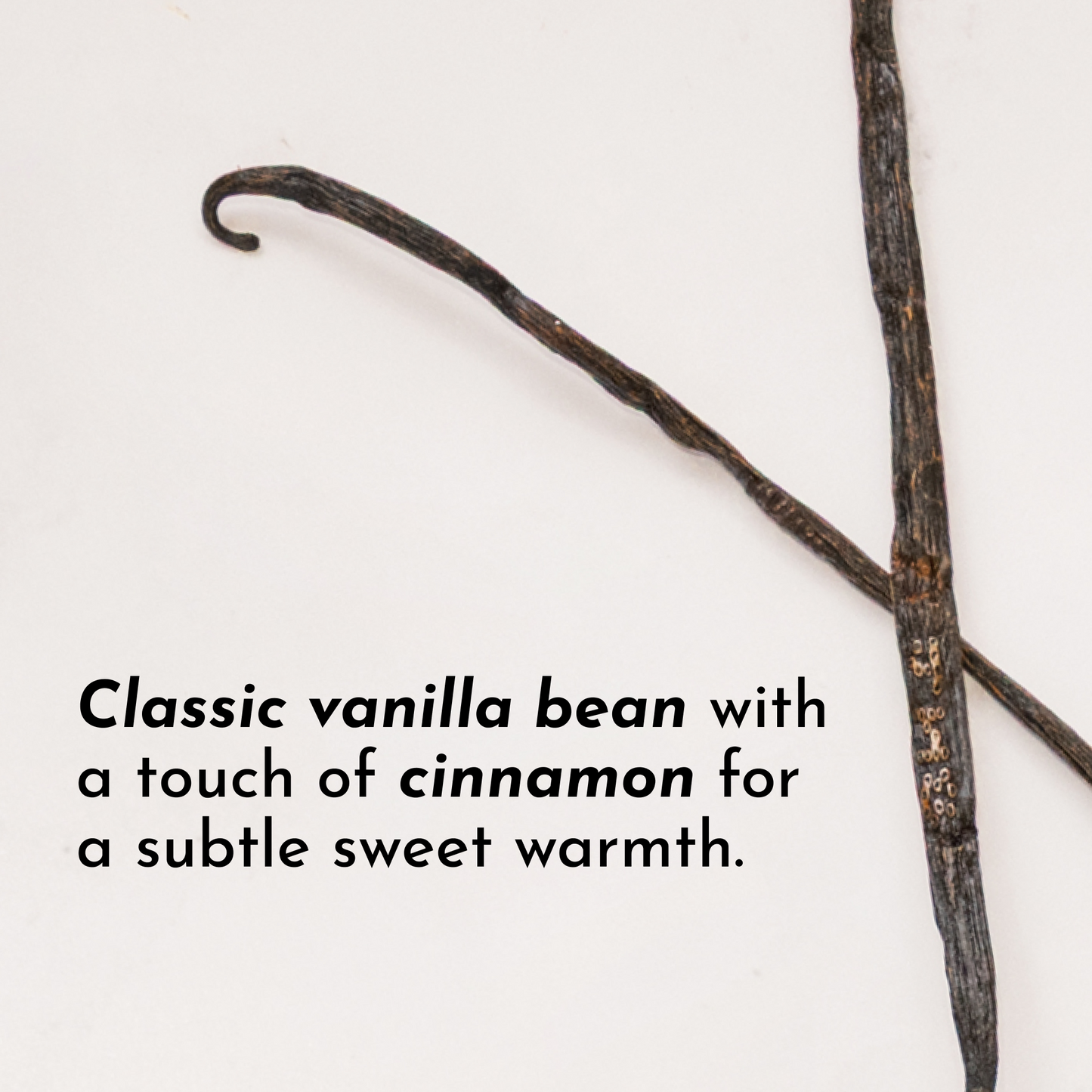 Vanilla Bean Protein Powder