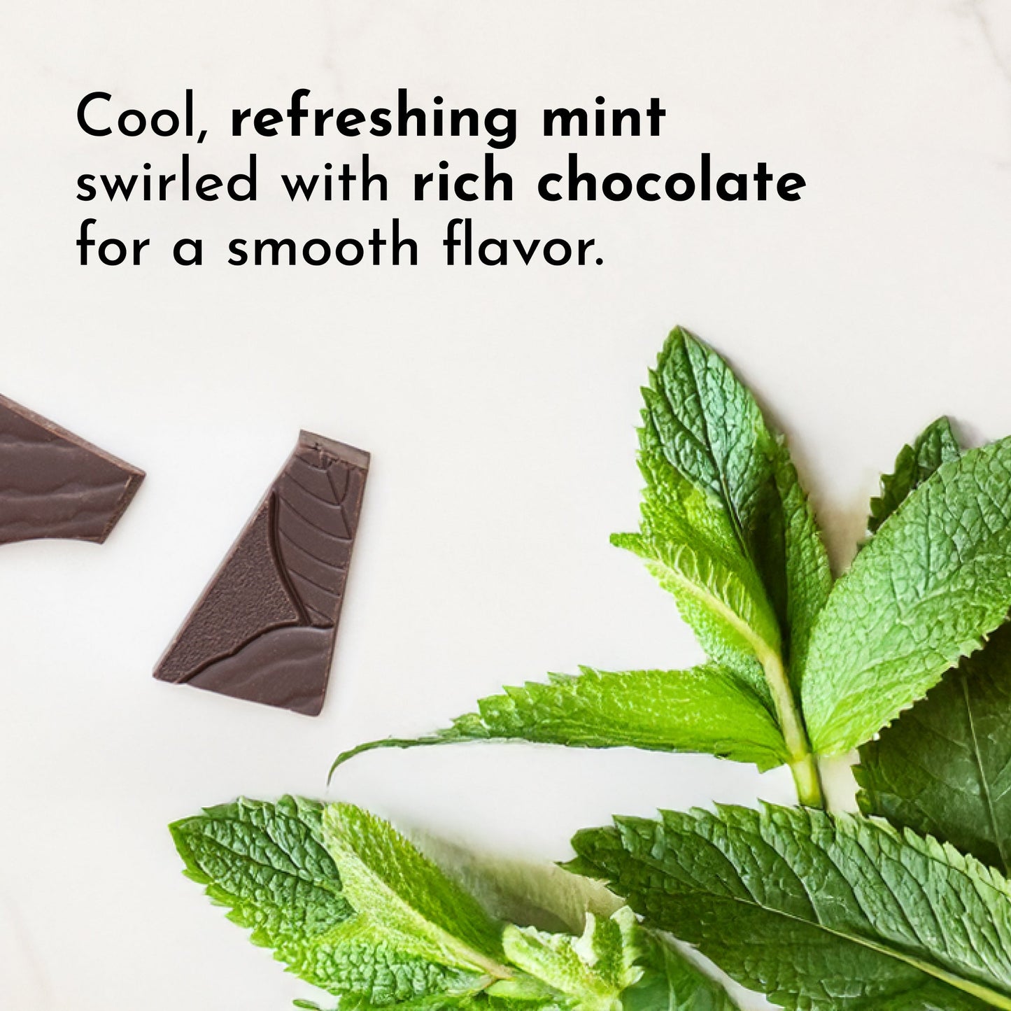 Mint Chocolate Protein Powder