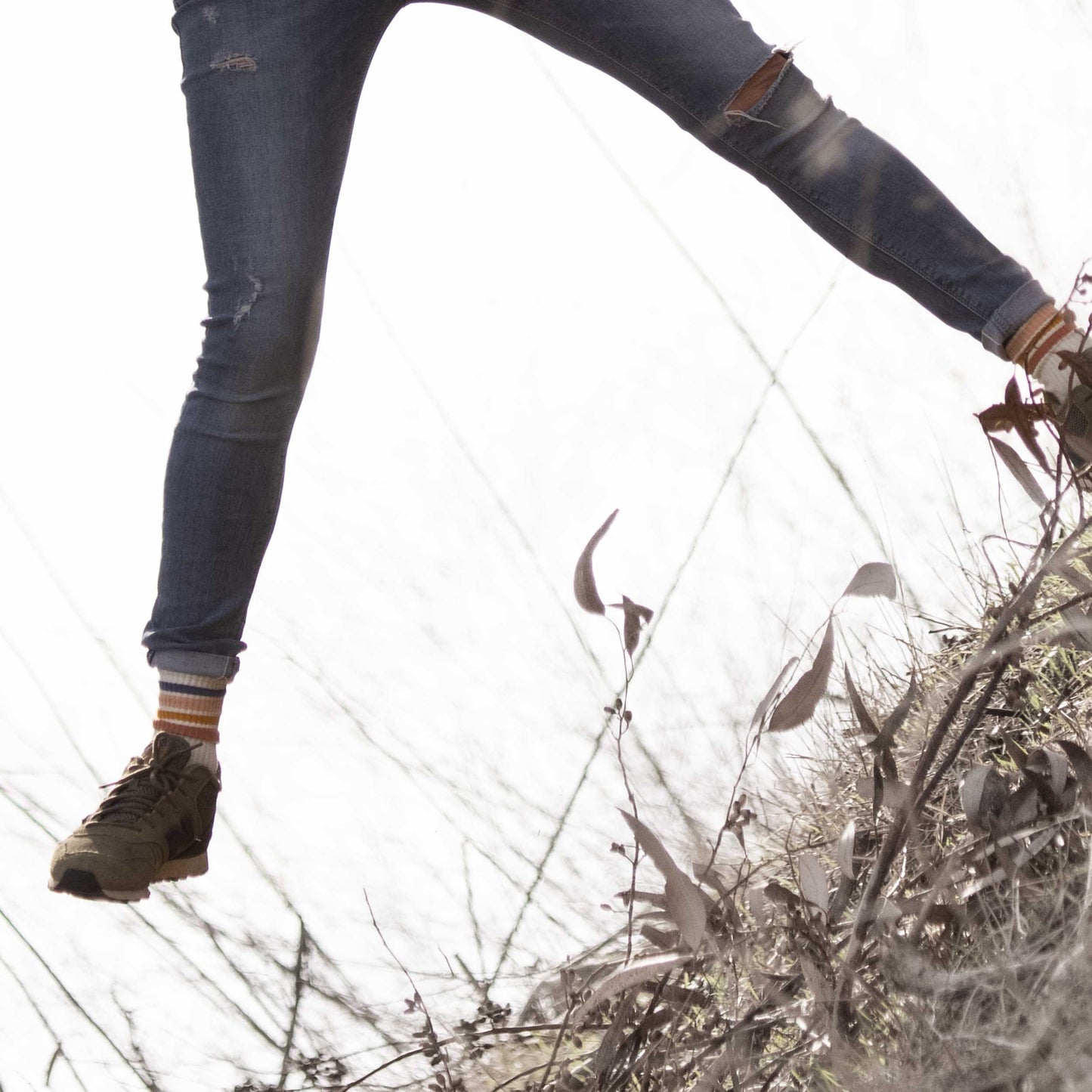 Socks - Cali Sunsets