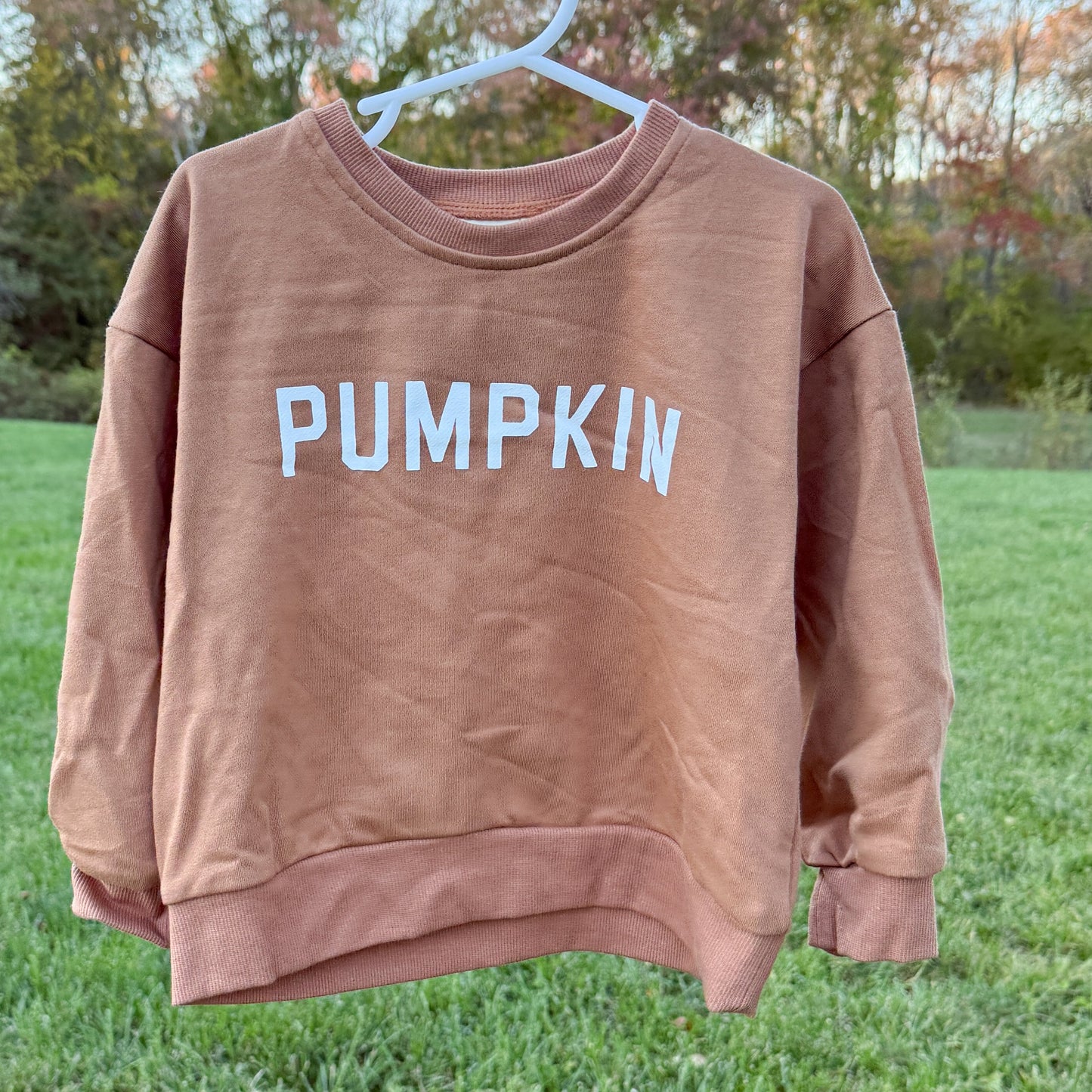 ‘Pumpkin’ Crewneck Sweatshirt