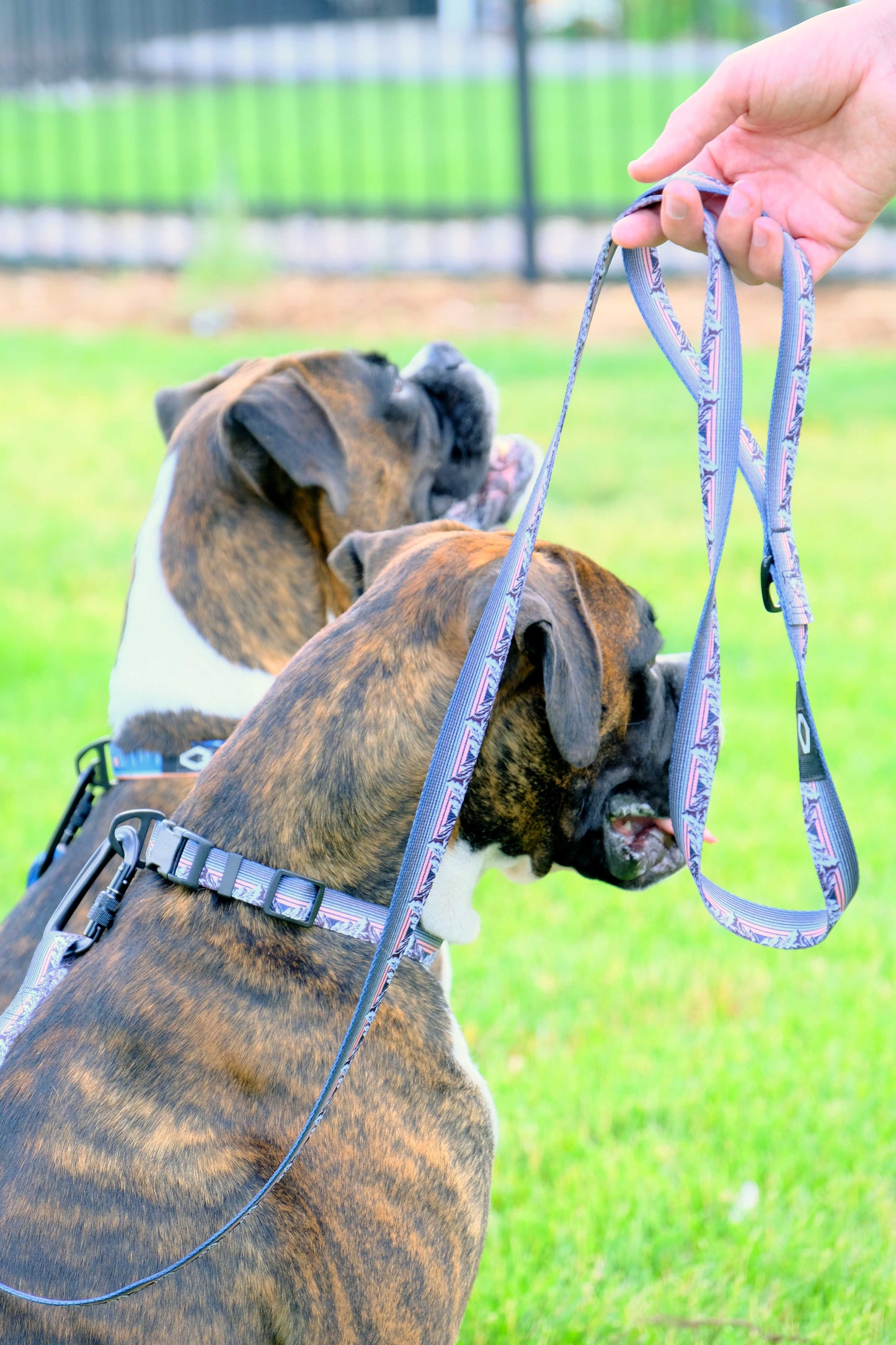 Outdoor Style Nylon Dog Leash