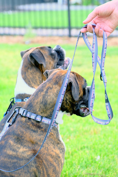 Outdoor Style Nylon Step-In Dog Harness