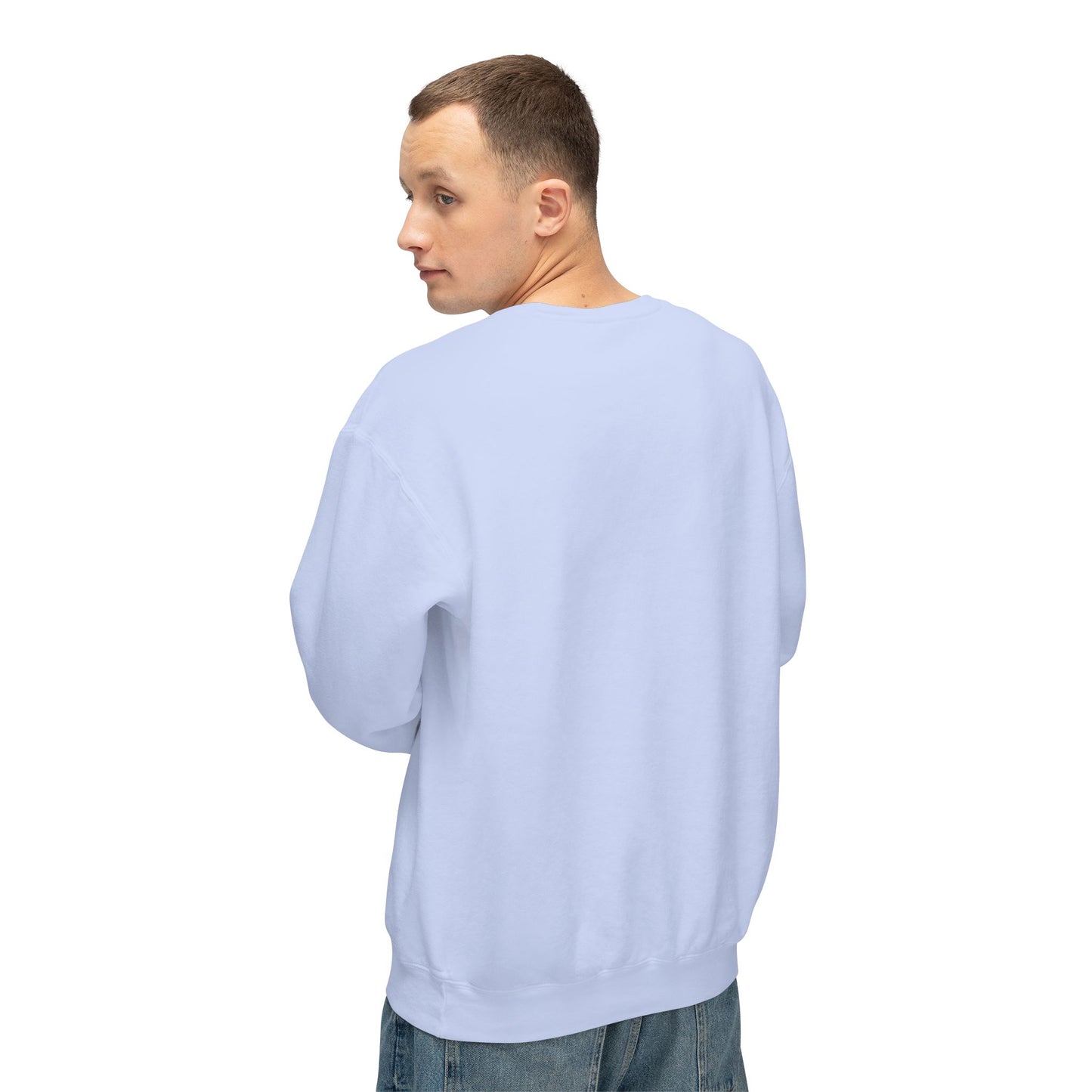 SW-106BLU-24  Unisex Lightweight Crewneck Hydrangea Color Sweatshirt