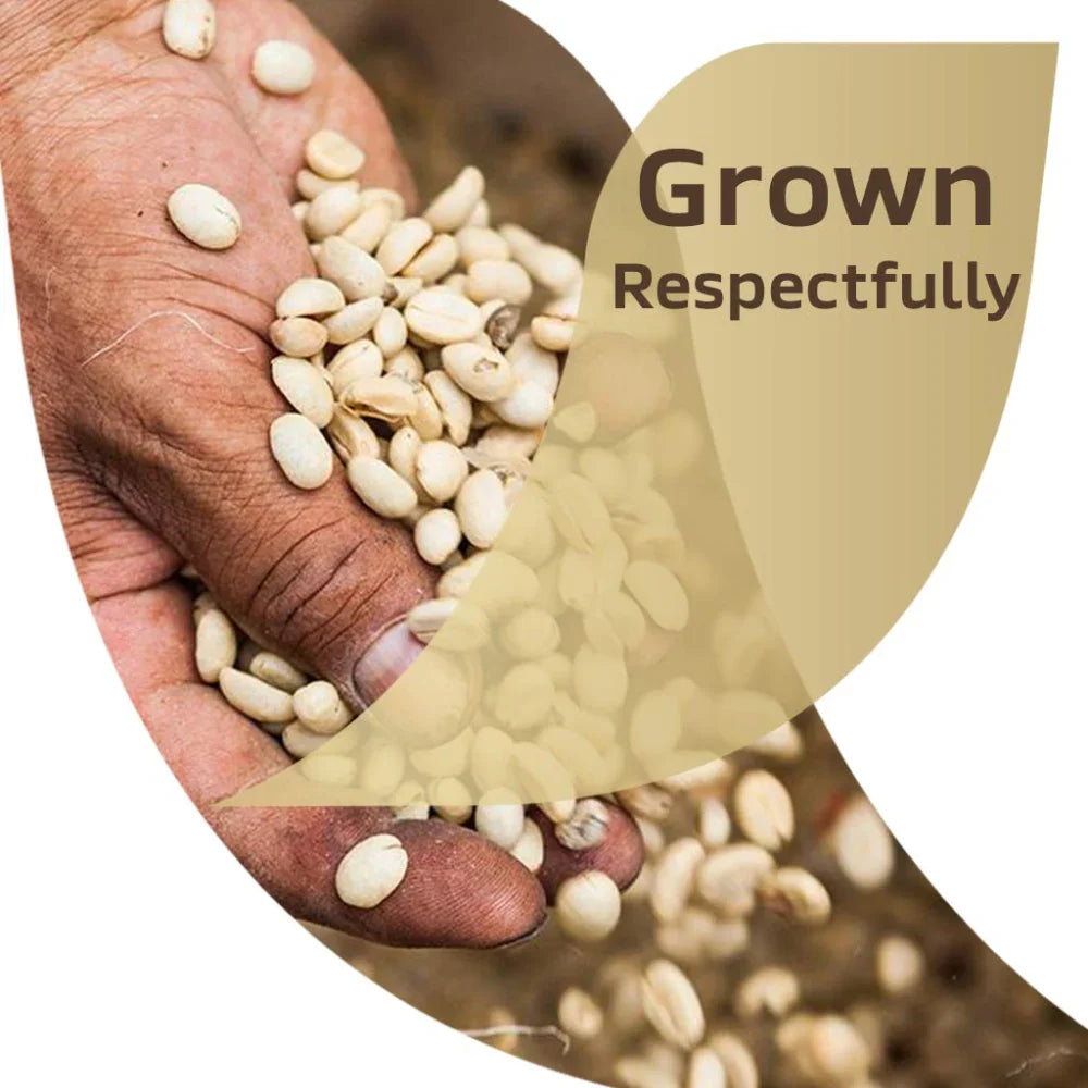 Nestle Tasters Choice Coffee Instant Jar 7 oz