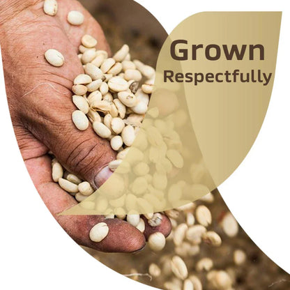 Nestle Tasters Choice Coffee Instant Jar 7 oz