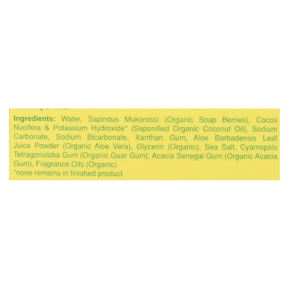 Rebel Green Good Sport Wash Lemon & Peppermint (Pack of 4 - 38 Fl Oz.)