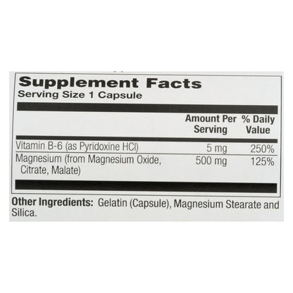 Nature's Life Magnesium 500mg - Powerful Supplement for Muscle & Nerve Support (100 Caplets)