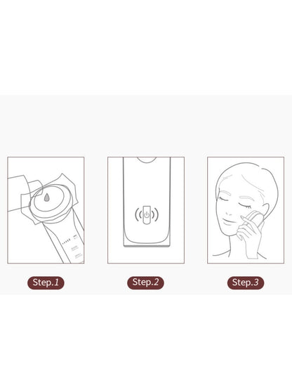 Multifunctional Facial Beauty Device