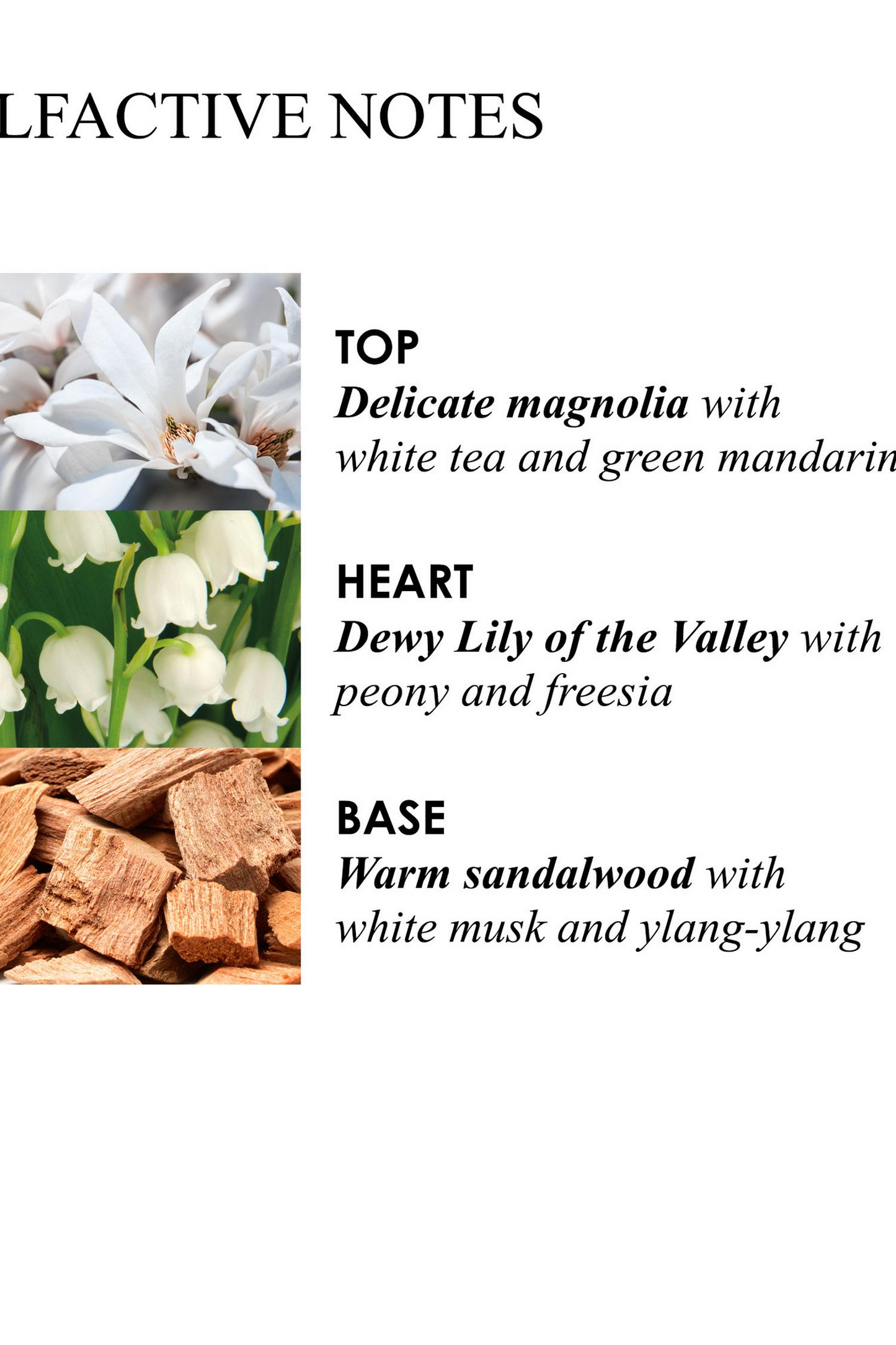 Lily and Magnolia Bath & Shower Gel