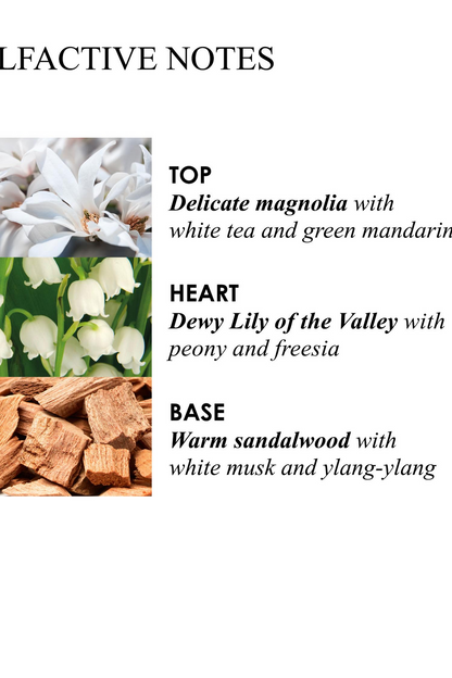 Lily and Magnolia Bath & Shower Gel