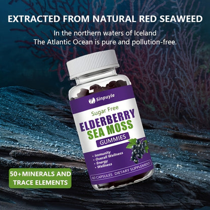 Sugar Free Elderberry Sea Moss Gummies - Immune Support, Daily Wellness & Energy Boost Supplement, 60 Count