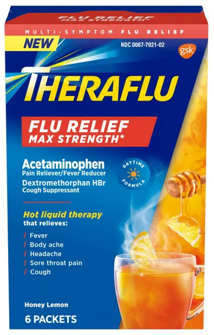 Theraflu Nightime Flu Relief Max Strength 6 ct
