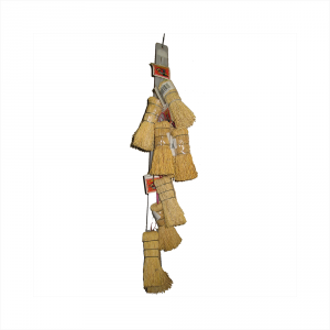 Escobeta De Raiz strd