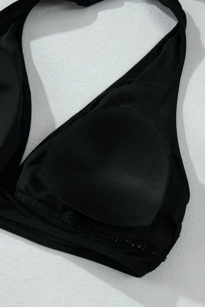 Sheer Mesh Edged Halter V Neck Push Up Bikini Set