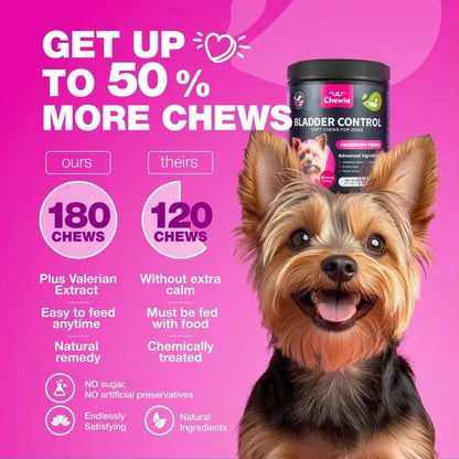 Dog UTI Treatment Dog Cranberry Supplement For Bladder Kidney Health