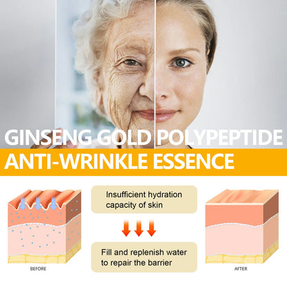 Hoygi Ginseng Gold Polypeptide Anti-Wrinkle Essence, Long-lasting moisturizing and soothing essence for dull wrinkles