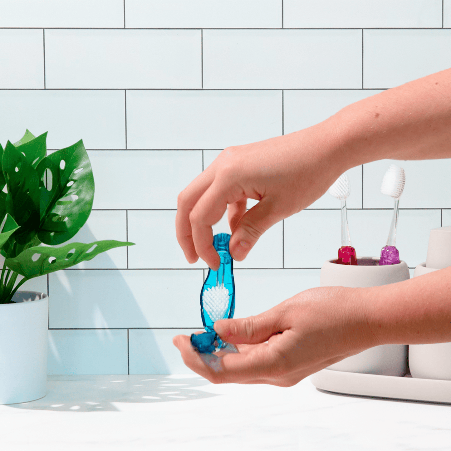 Tour Travel Brush