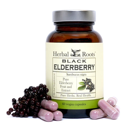 Organic Black Elderberry