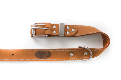 Pro Line Leather Hunting Dog Collar