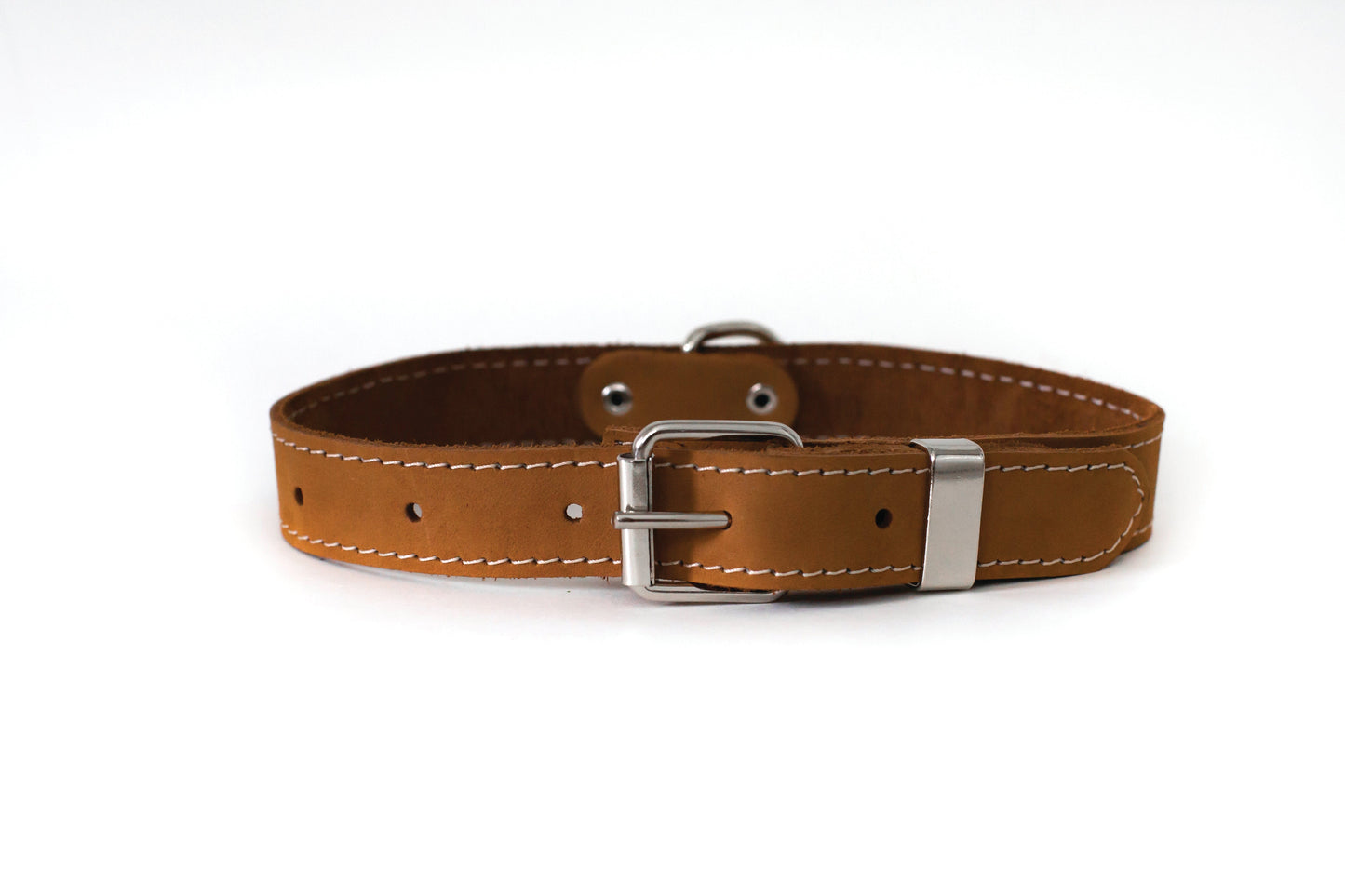 Pro Line Leather Hunting Dog Collar