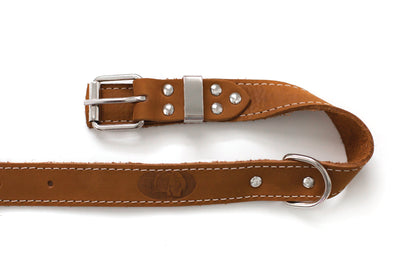 Pro Line Leather Hunting Dog Collar