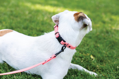 Waterproof Super Soft PVC Dog Collar