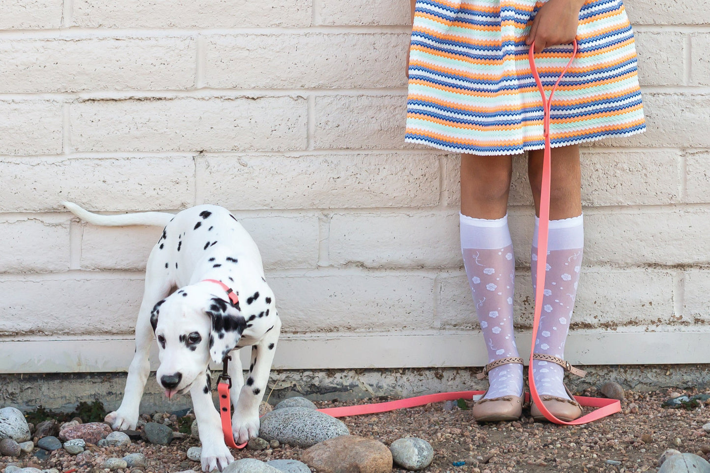 Waterproof Super Soft PVC Dog Leash
