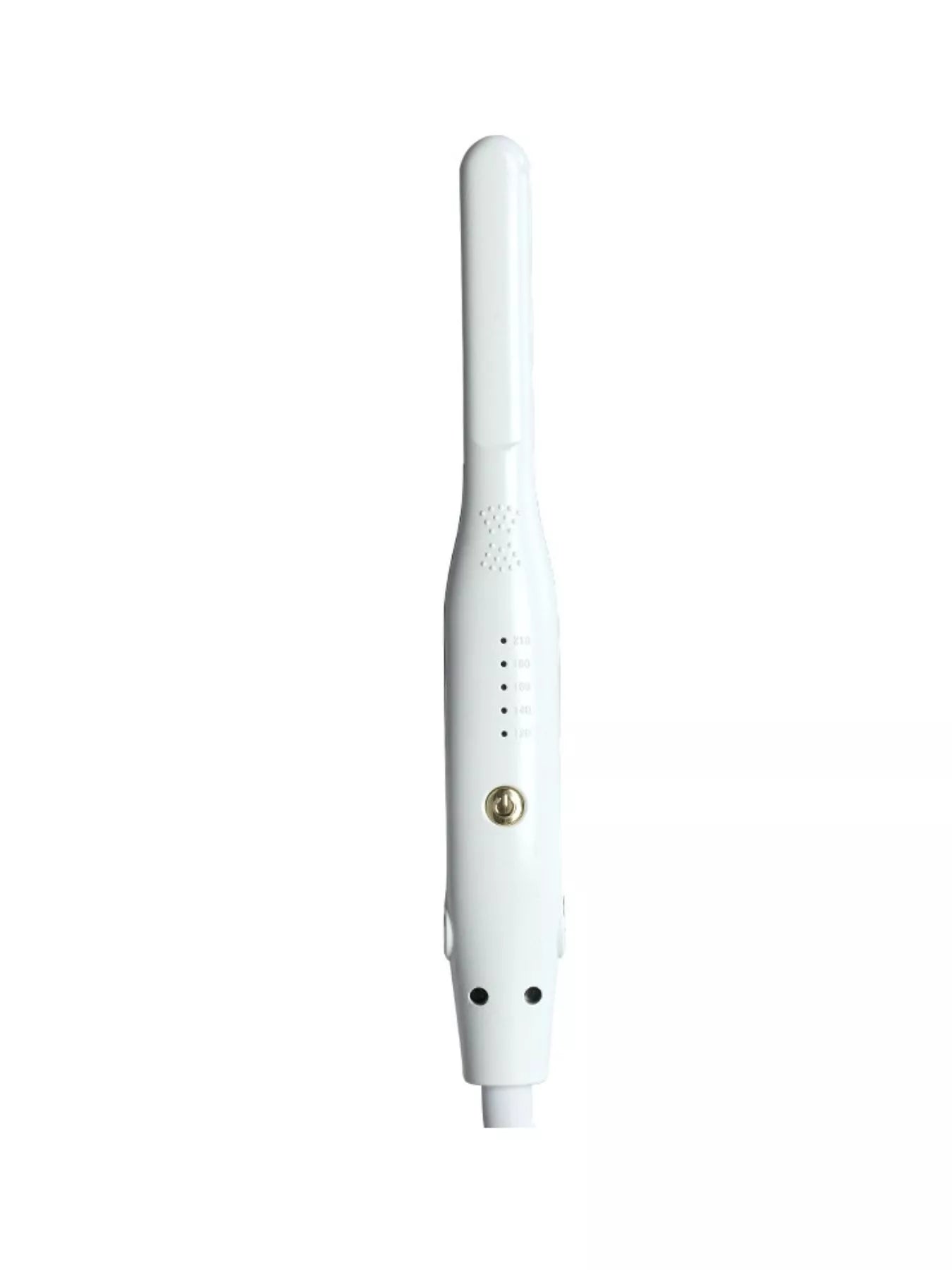 Adjustable Temperature Hair Straightener