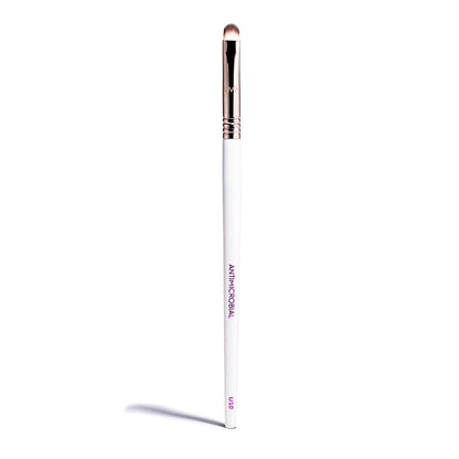 Pro Antimicrobial Smudge Brush U10