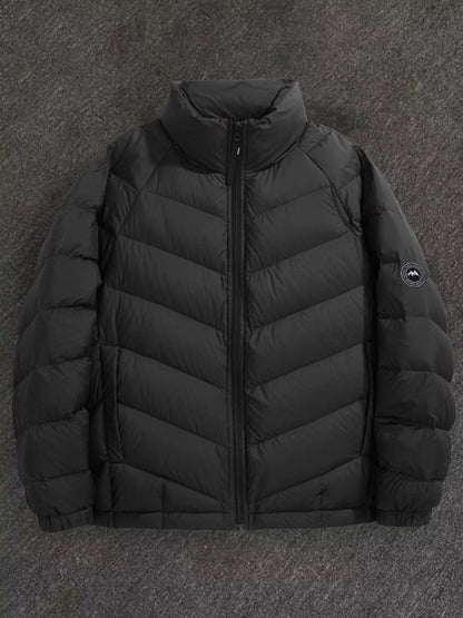 Men's Plus Size Zip Up Stand Collar Down Jacket
