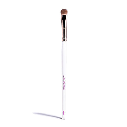 Pro Antimicrobial Eye Shader Brush U08