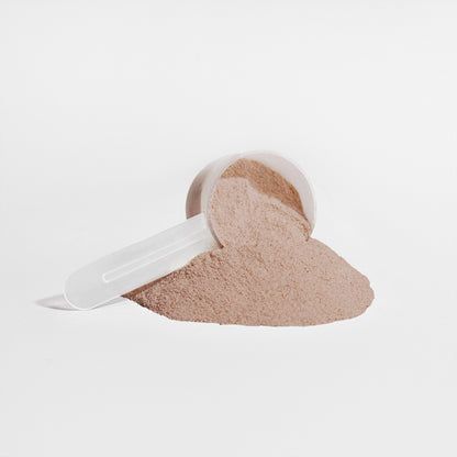 Plant Protein Chocolate 21g Protein, Muscle Recovery, Weight Management, And Digestive Support