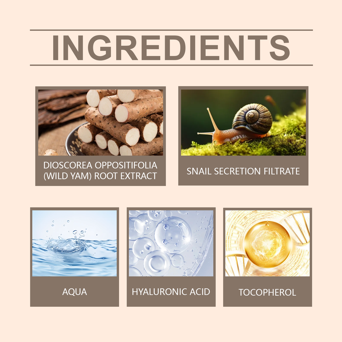 Hoygi Yam Cream, Moisturizes, Hydrates And Soothes Facial Skin With Balanced Care Cream